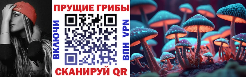 Галлюциногенные грибы Psilocybe Белоозёрский